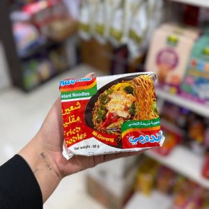 نودل اندومی